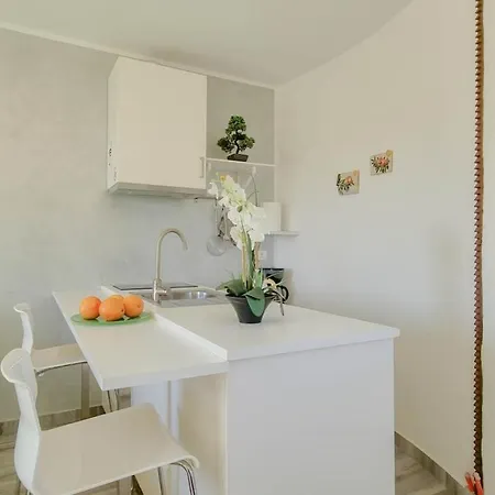 Silos Oliva Apartman Novigrad (Istria)